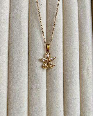 Daisy